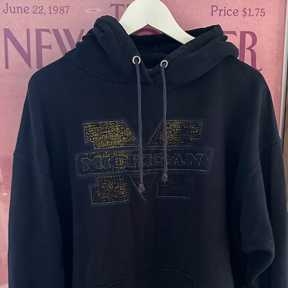 VINTAGE MICHIGAN HOODIE